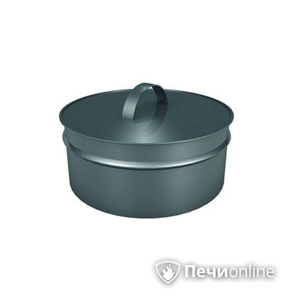 Заглушки Теплов и Сухов Заглушка ревизии Термо-Р 304 0.5 D300(200) в Костроме