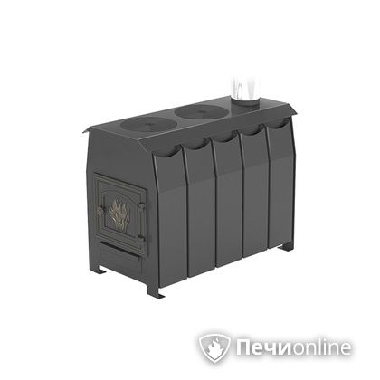 Отопительно-варочная печь Везувий Комфорт 300 (ДТ-3) в Костроме