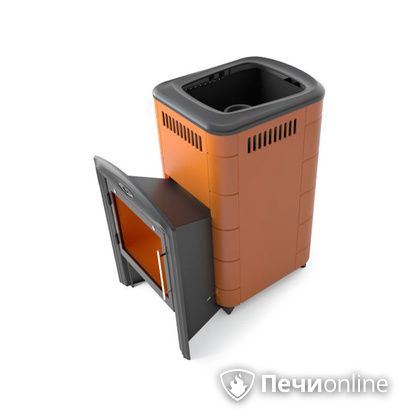 Дровяная печь-каменка TMF Тунгуска Cast Витра терракота в Костроме