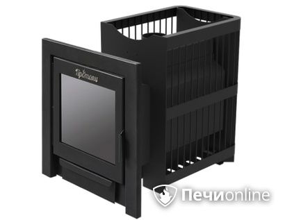 Дровяная банная печь Протопи Сетка 14 Панорама в Костроме