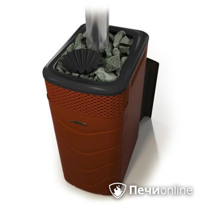 Дровяная банная печь TMF Гейзер XXL 2017 Inox Витра закрытая каменка терракота в Костроме